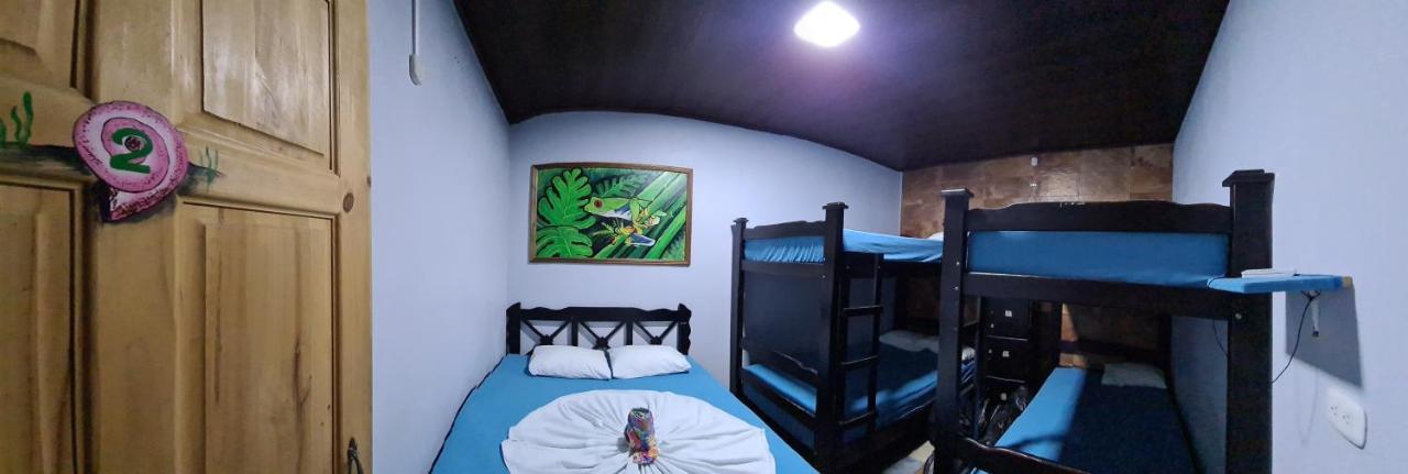 Hostel Tortuguero 7Backpackers Экстерьер фото