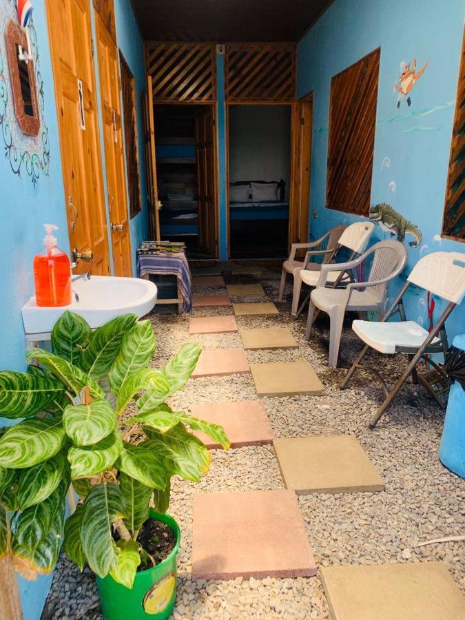 Hostel Tortuguero 7Backpackers Экстерьер фото