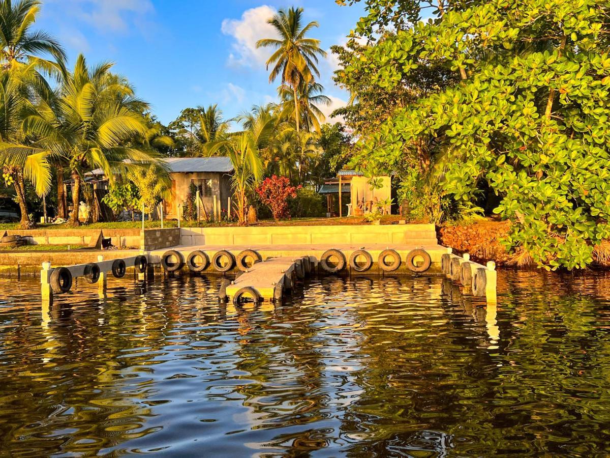 Hostel Tortuguero 7Backpackers Экстерьер фото